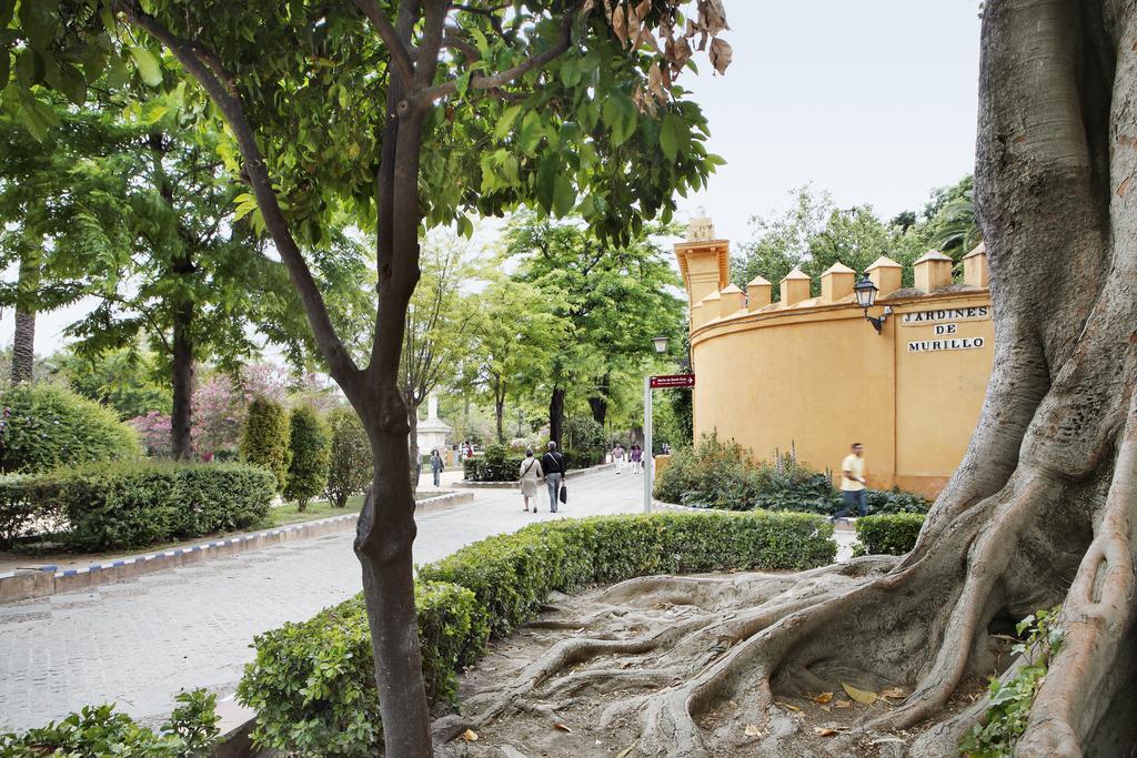 Apartamentos Mariscal Sevilla Værelse billede